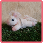 Foto Pony sleutelhanger
