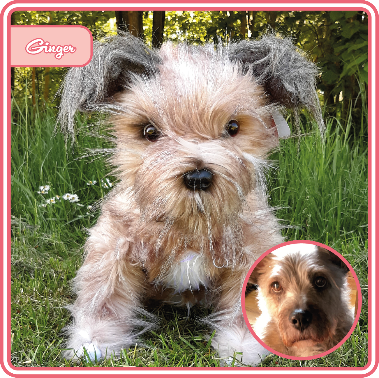 Ginger-als-Knuffel_1