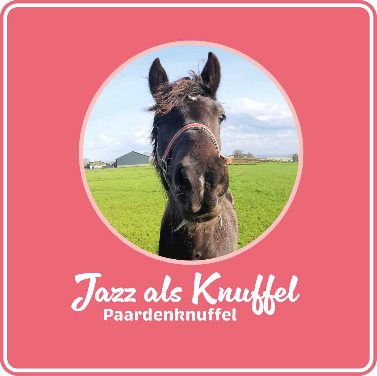 Jazz-als-Knuffel_4
