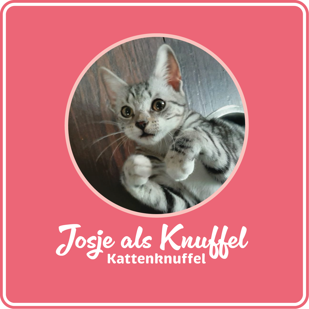 Josje-als-Knuffel_6