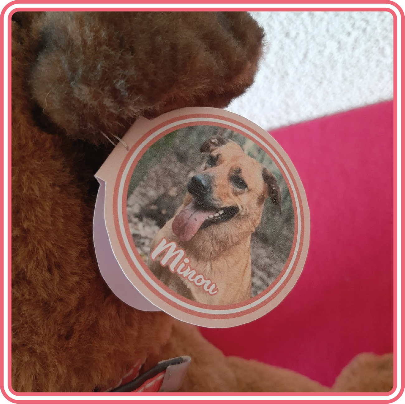 Minou-als-Knuffel_10