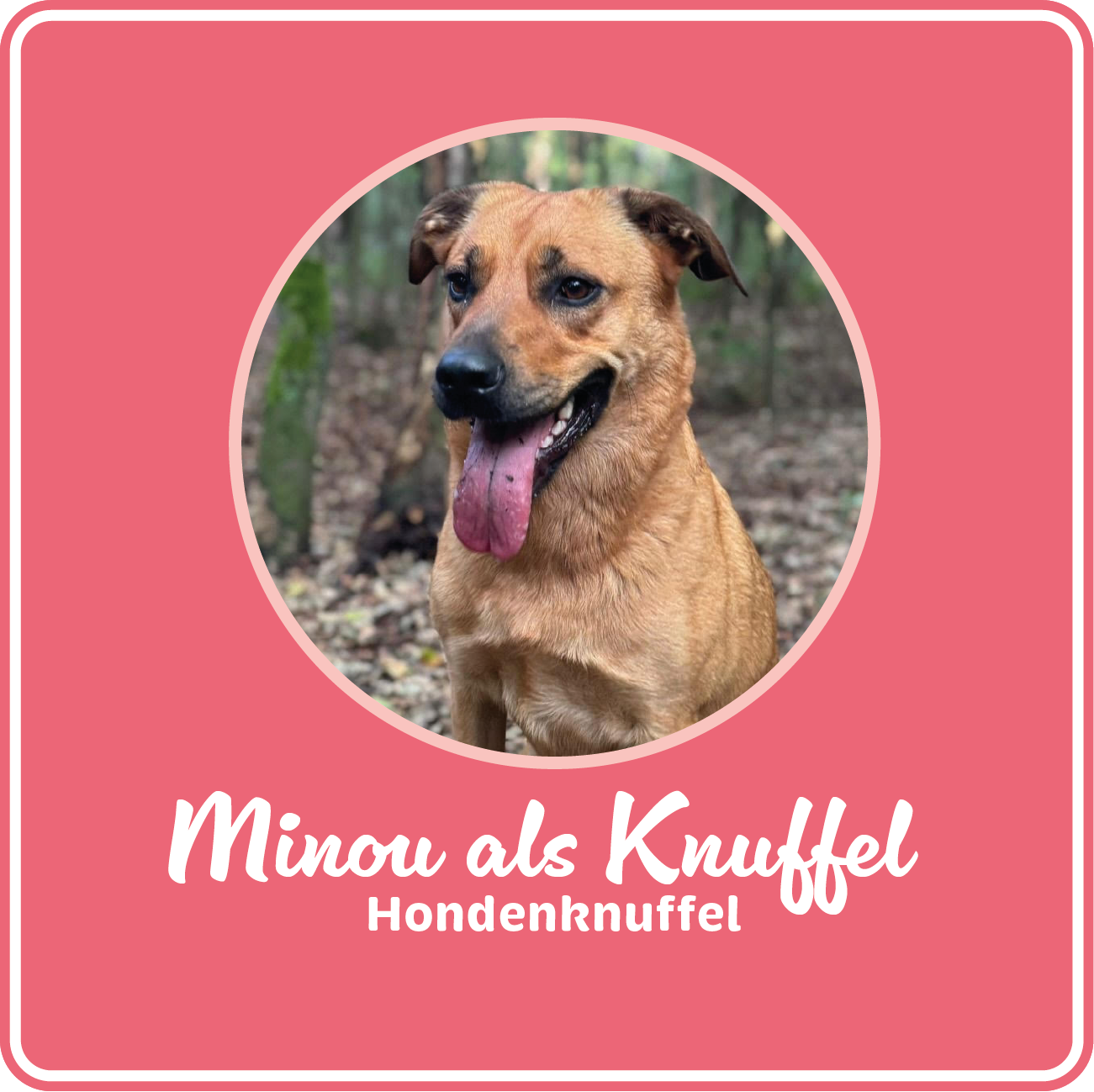 Minou-als-Knuffel_11